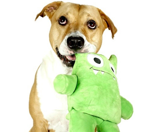 discount dog toys online