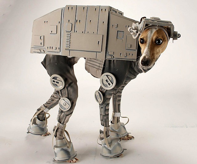 star wars dog stuff